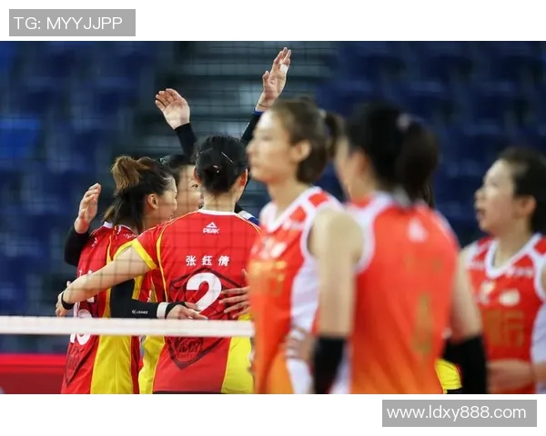 上海排球队引领最新排球意识TOP10榜单全景解析