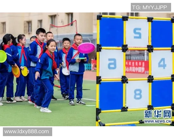 杨磊独家分享飞盘技巧与心得体会助你轻松掌握这项运动的乐趣与魅力